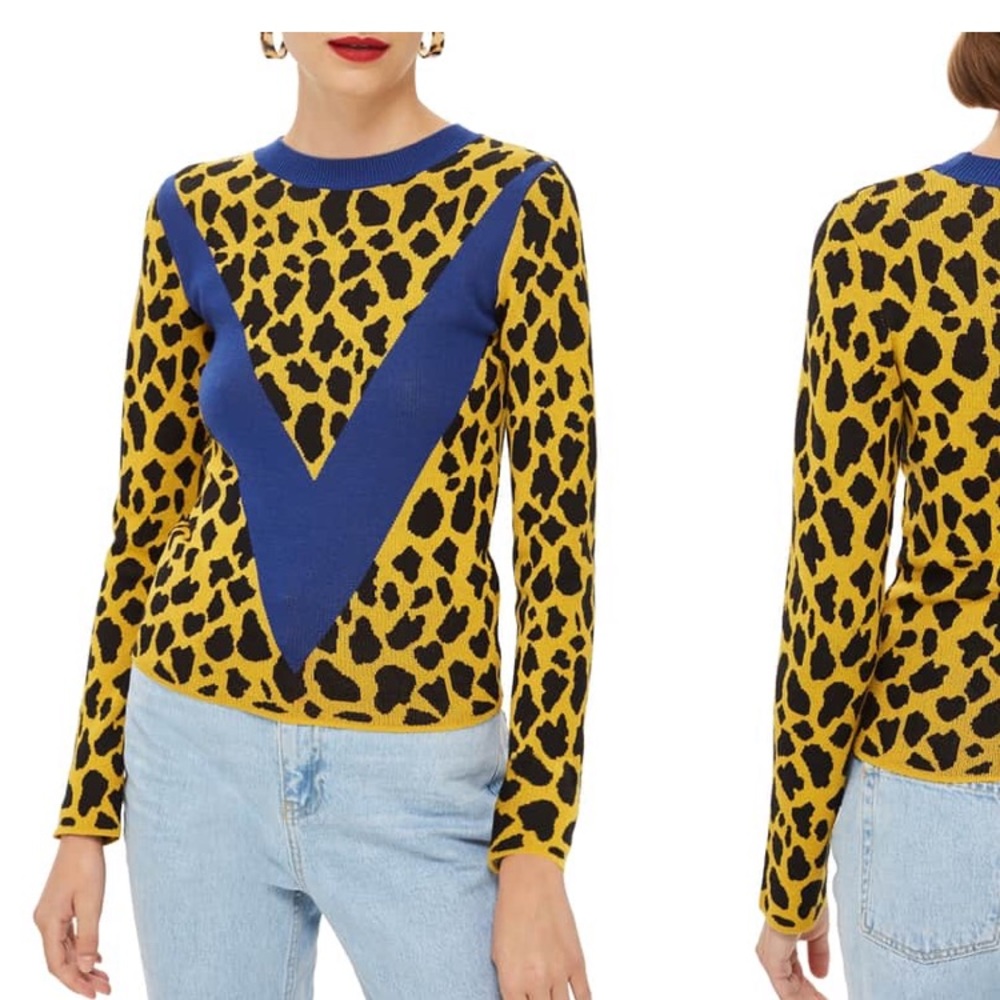 TopShop Chevron Leopard Sweater